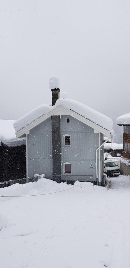 Casa Cuschina - Mit Sauna In Der Schoenen Surselva Dardin 외부 사진