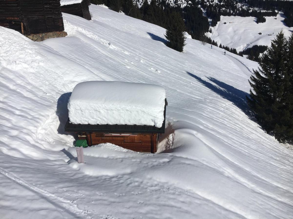 Casa Cuschina - Mit Sauna In Der Schoenen Surselva Dardin 외부 사진